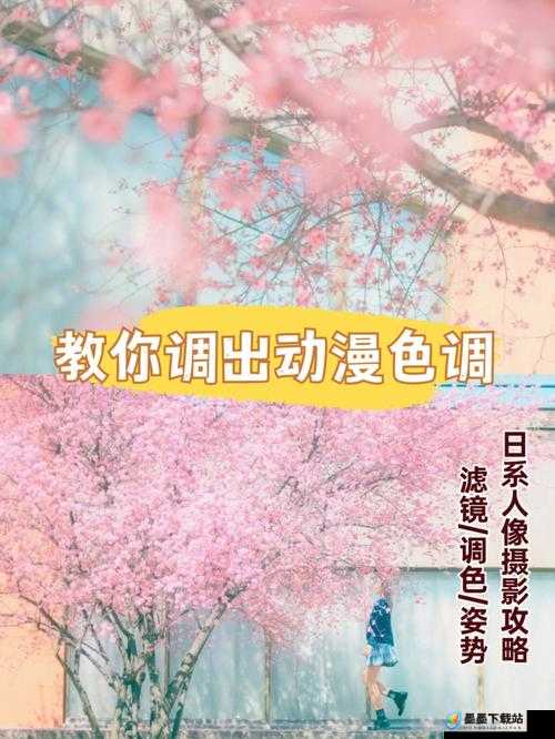 樱花动漫官方入门：新手必知的全面详细介绍与使用指南