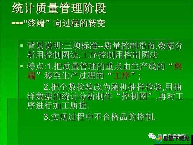 沙石镇时光，排骨的获取策略、资源管理技巧及高效利用避免浪费指南