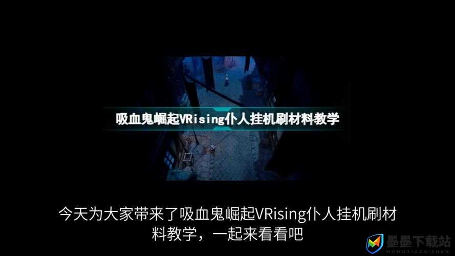 VRising中仆人带出策略解析及其价值最大化利用方法探讨