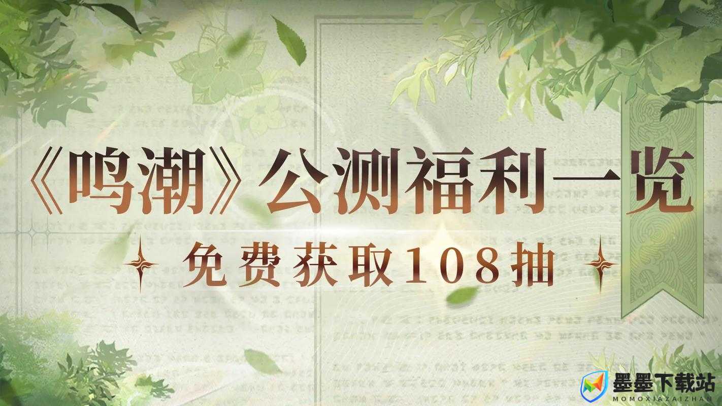 鸣潮官网资源管理策略，实现资源高效利用与价值最大化的深度解析