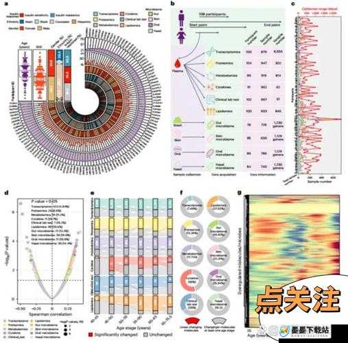 欧洲人与亚洲人的 DNA 对比：探究两大洲人群遗传差异