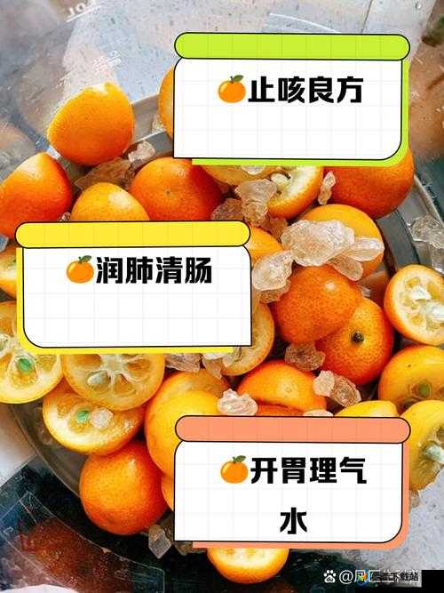 可不可以 PO 橘子糖水：探寻这款糖水的独特魅力与制作秘籍