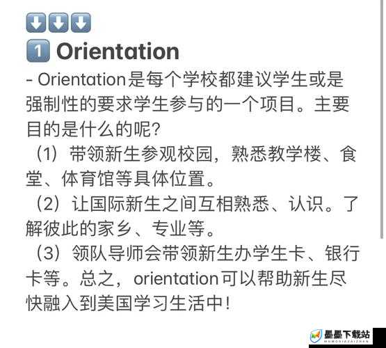 V Rising游戏攻略，马匹位置详解及资源管理高效利用避免浪费技巧