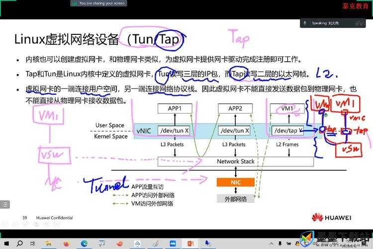 VRising服务器归属明确与官服私服有效区分的重要性及其综合管理策略