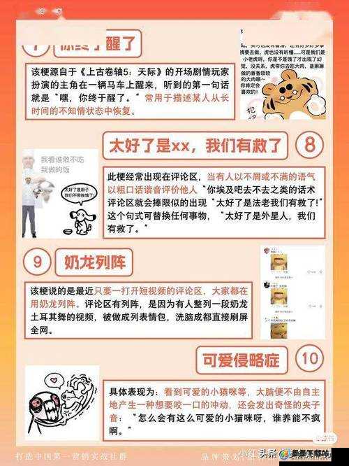 心巴上巴，揭秘网络热梗背后的趣味逻辑与无限创意源泉