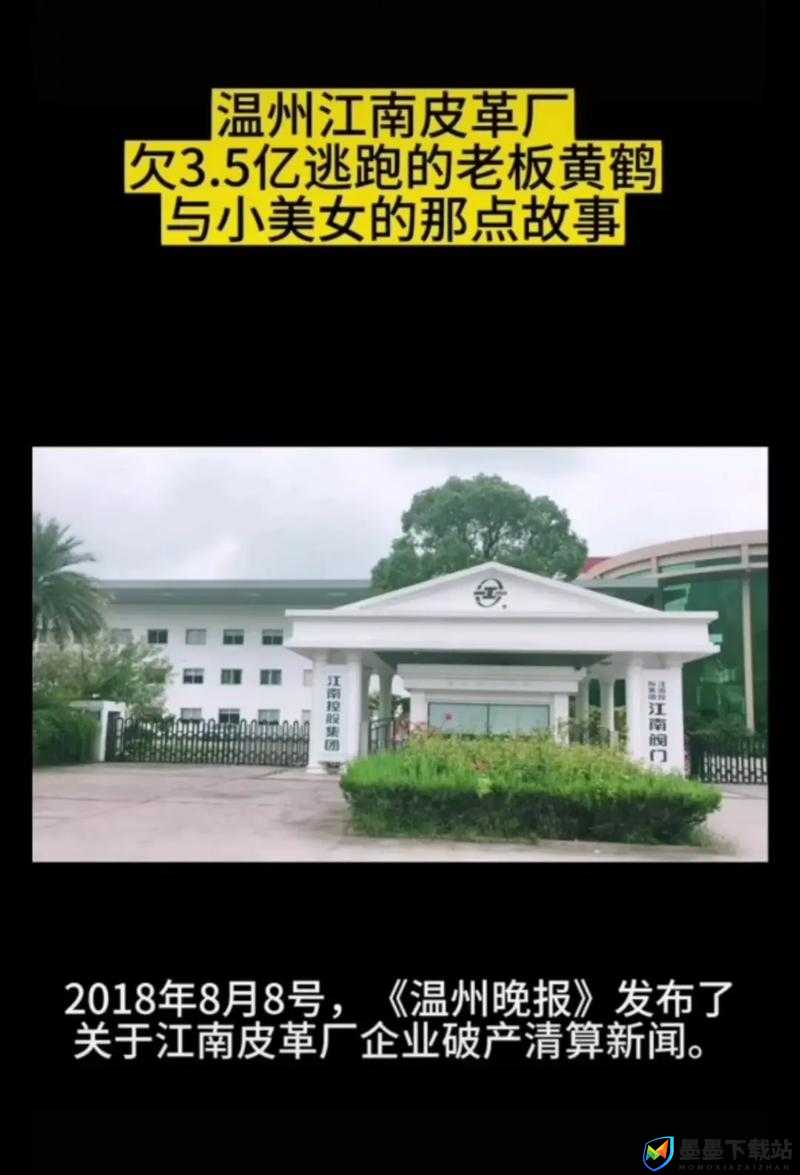 百变大侦探深入剖析，江南皮革厂倒闭谜团，揭秘真凶及其背后惊人真相