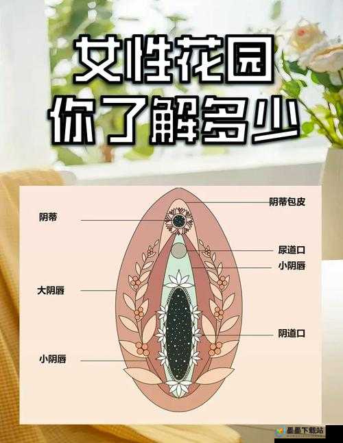 探索女性奥秘：揭秘色黄女之录