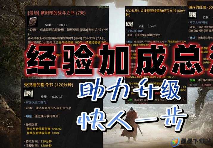 黑色沙漠行者全技能详细解析与实战高效管理策略指南