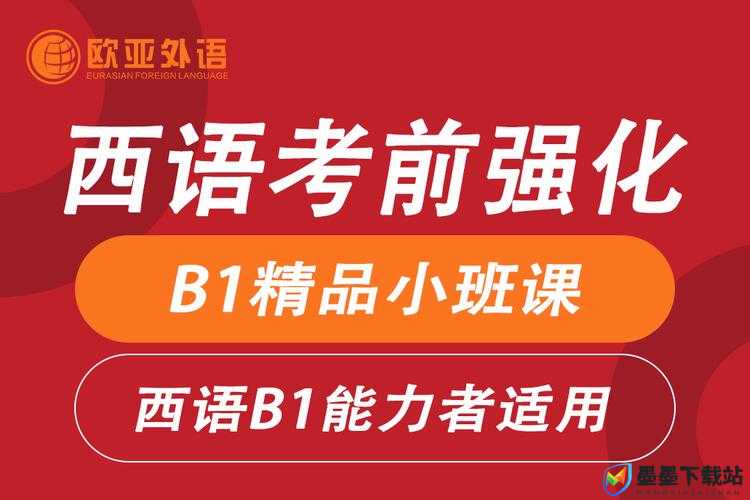 欧亚尺码专线欧洲 B1B1 的服务：打造专属贴心体验