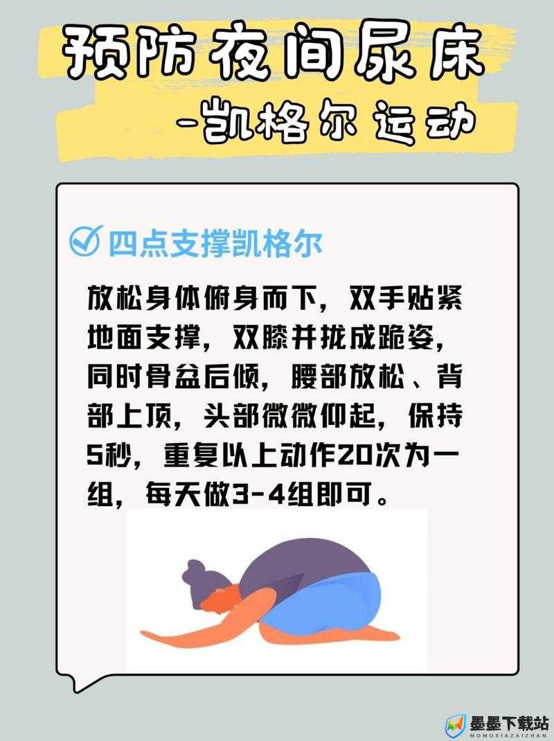 探索尿奴训练的五大标准：如何有效实施并确保安全与健康的训练方法