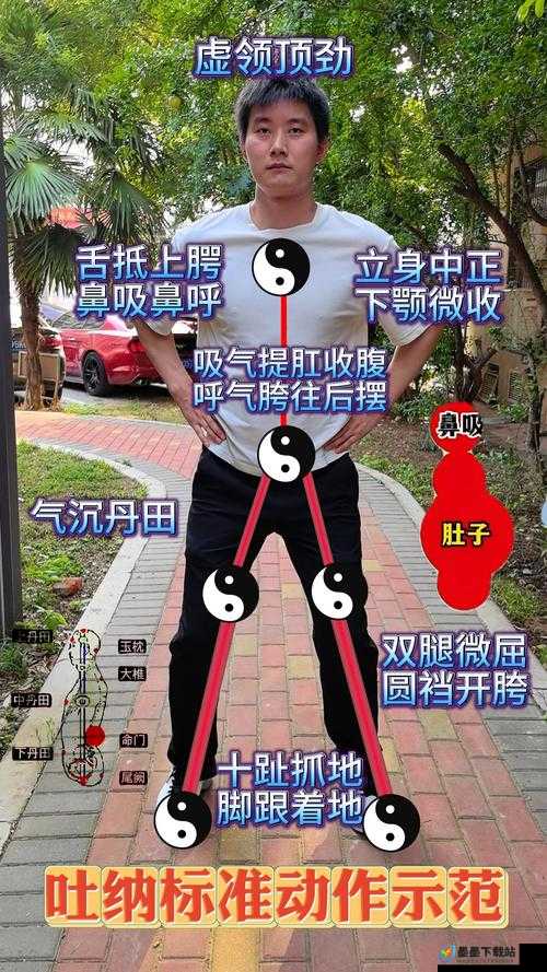 武侠乂吐纳心法究竟有何奥秘？深度攻略揭秘底层逻辑与实战操作！