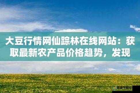 仙踪林大豆行情网数据准确性验证：如何确保市场分析报告的可靠性？