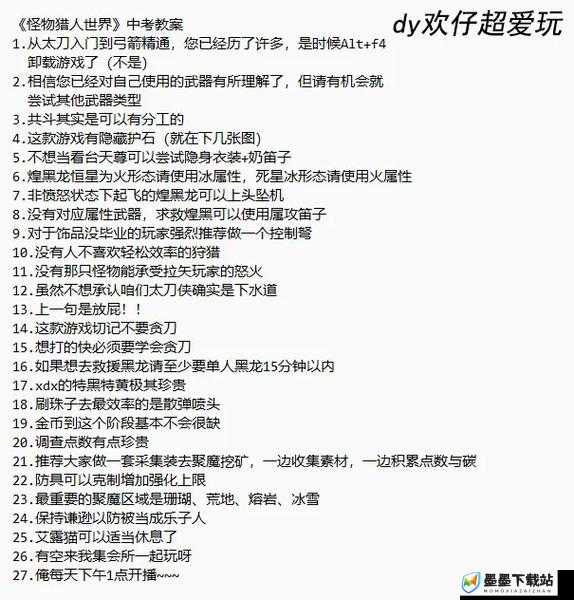 怪物猎人世界，沼渡护石有何奥秘？深度解析及资源管理技巧揭秘