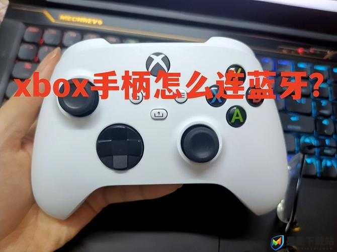 真三国无双8玩家必看，Xbox手柄无法使用，解决方法演变史揭秘？